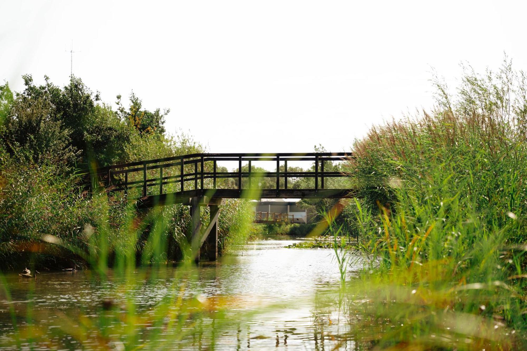 Resort Land & Zee Scharendijke Kültér fotó
